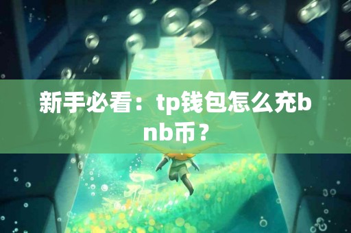 新手必看：tp钱包怎么充bnb币？