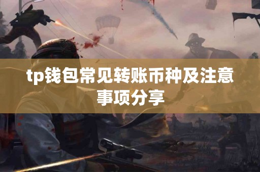 tp钱包常见转账币种及注意事项分享
