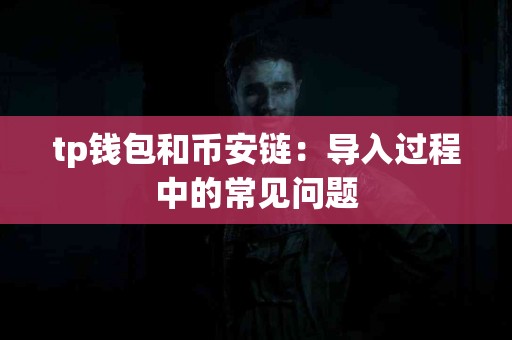 tp钱包和币安链：导入过程中的常见问题