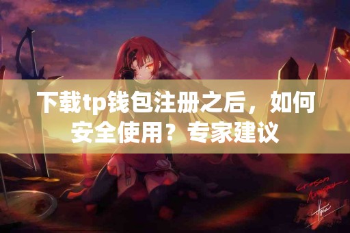 下载tp钱包注册之后，如何安全使用？专家建议